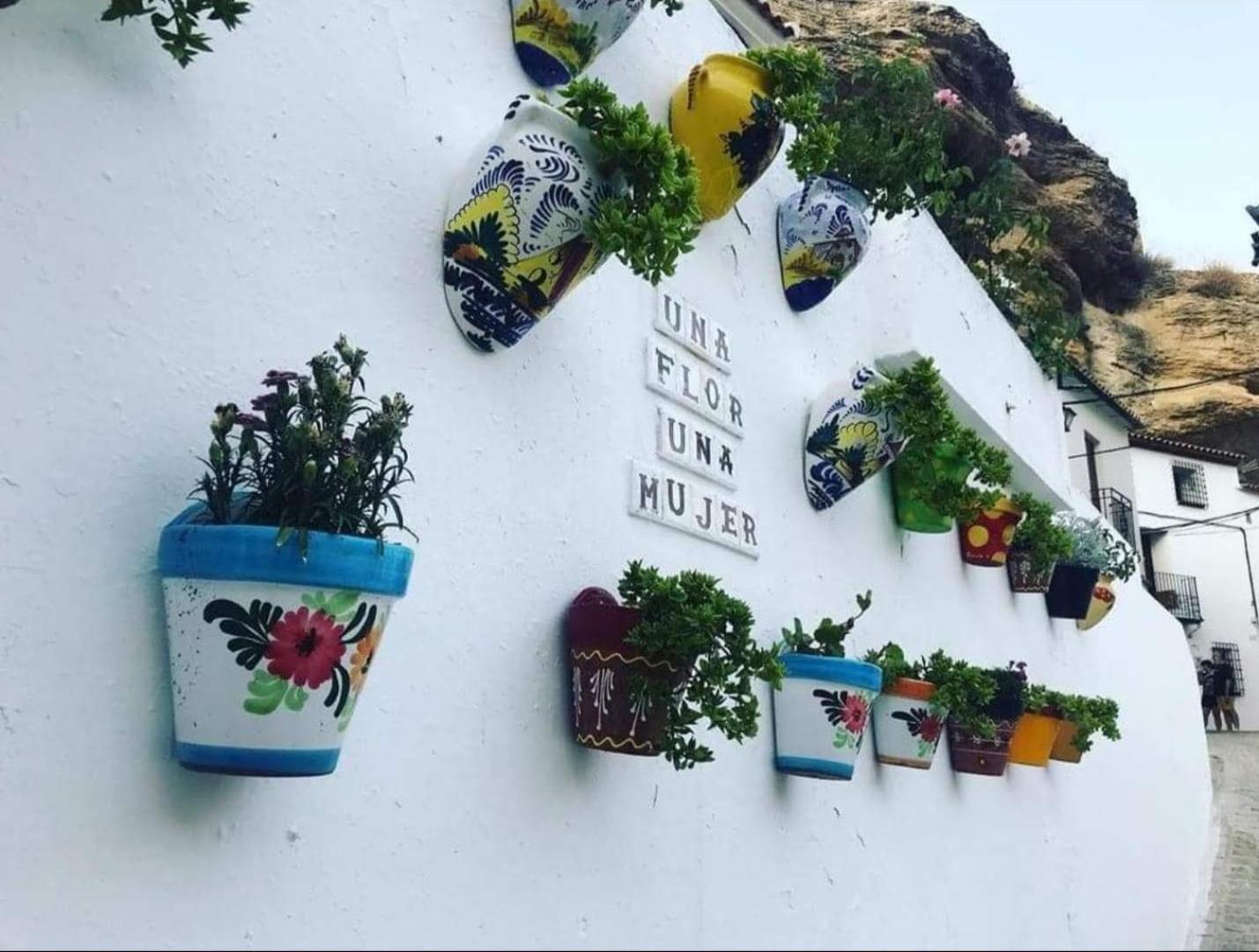 Apartamento La Medina Baja Setenil De Las Bodegas Exterior foto
